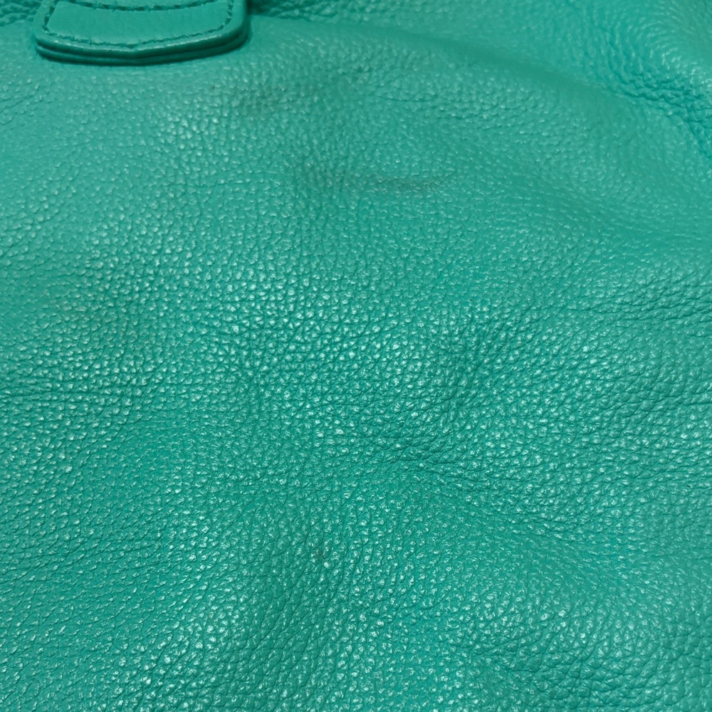 Dooney & Bourke Turquoise Leather Shoulder Bag with Gold Hardware - Picture 12 of 17